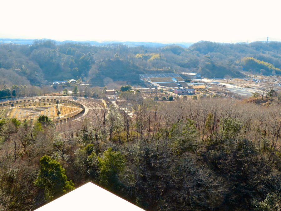 花フェスタ記念公園のバラ園