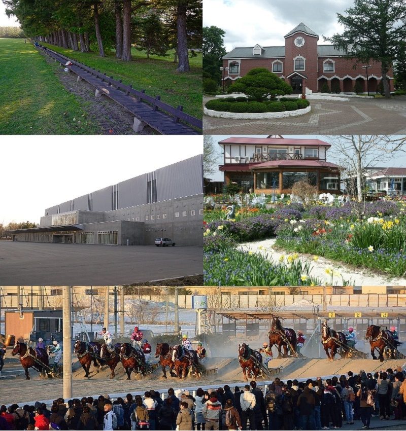 帯広市の街並みモンタージュ