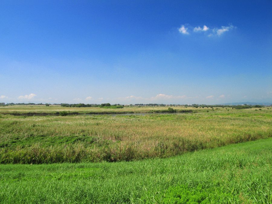 渡良瀬遊水地の第一調節池