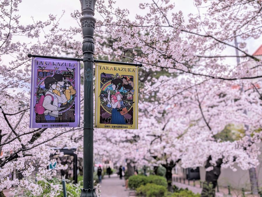 宝塚大劇場へ続く『花のみち』の桜並木