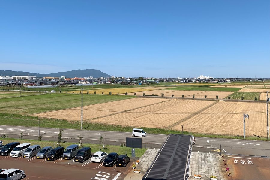 燕市役所4階テラスから望む市街地