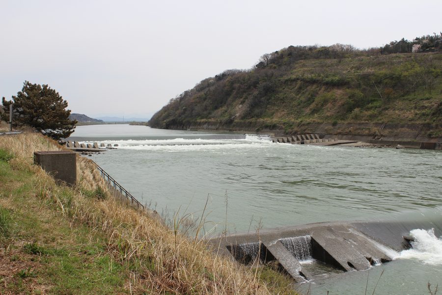 大河津分水路を流れる信濃川の水